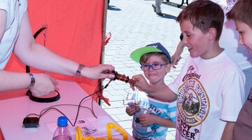 Festiwal Nauki - pokazy w centrum miasta